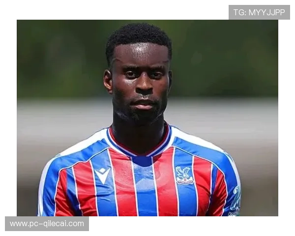 格伊转会曼城受阻，水晶宫标价4000万镑谈判持续